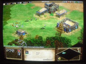Age Of Empires II: The Conquerors