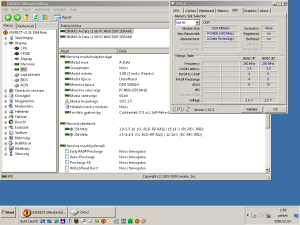 Everest és CPU-Z szerinti paraméterek