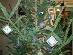 CAM01399