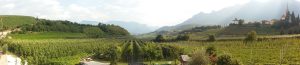 20150809_171134_Pano