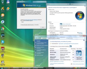 Vista